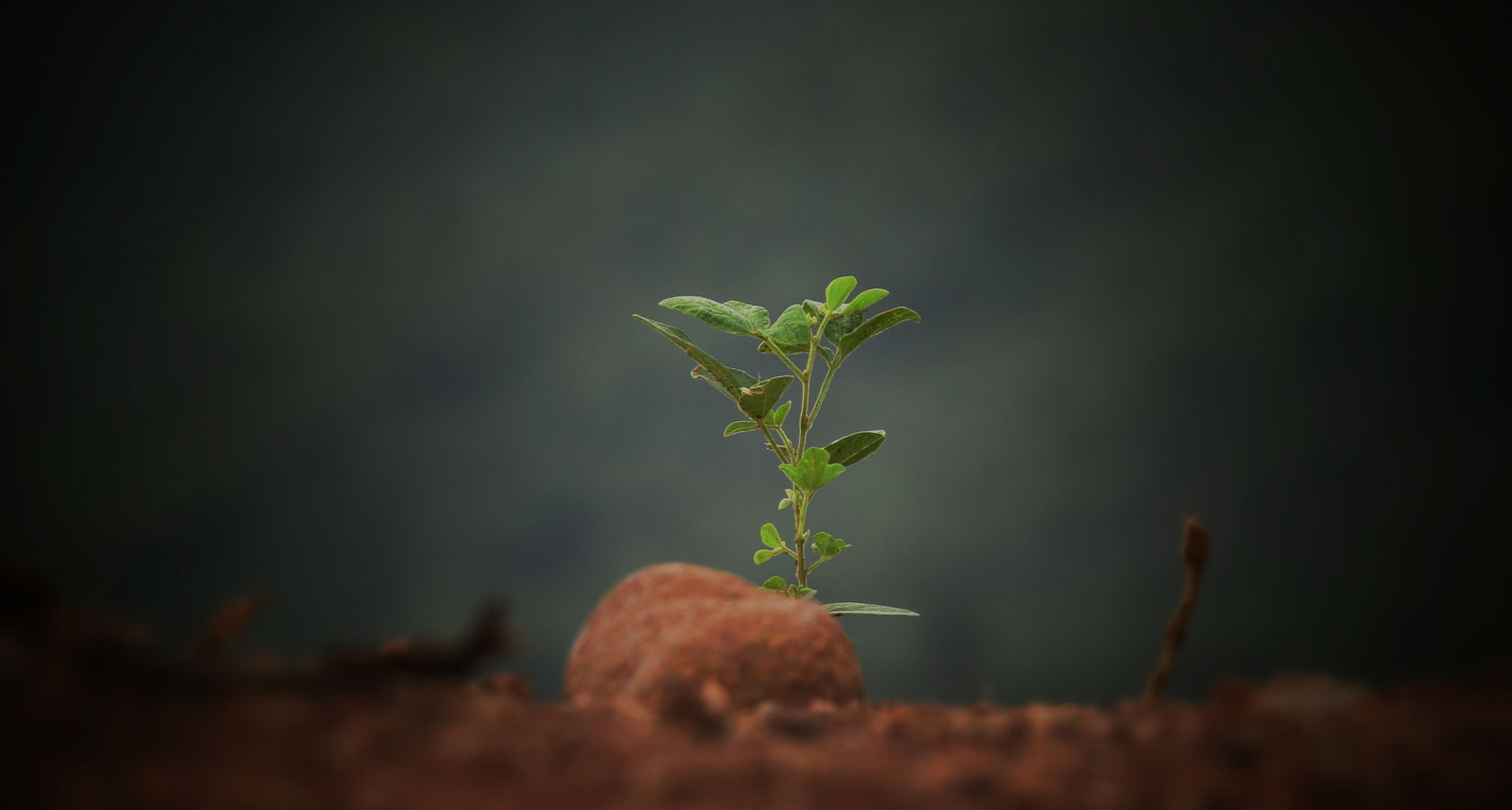 平博·(pinnacle)官方网站